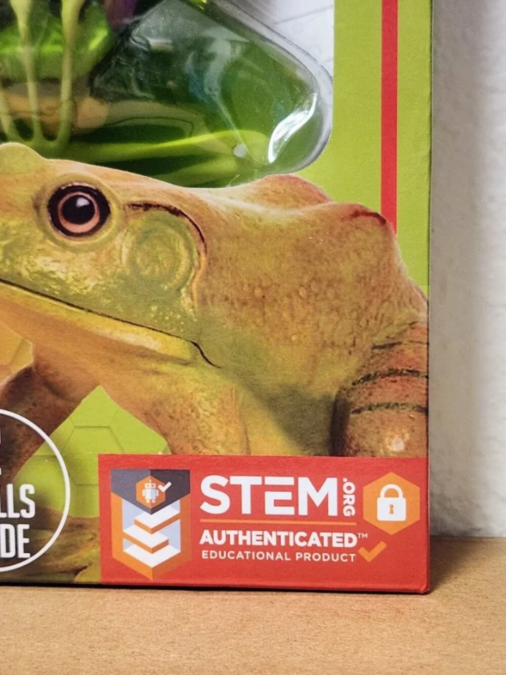 NEW Dissect-it Synthetic Lab Dissection Toy STEM KIT CRAFT Project Frog Biology